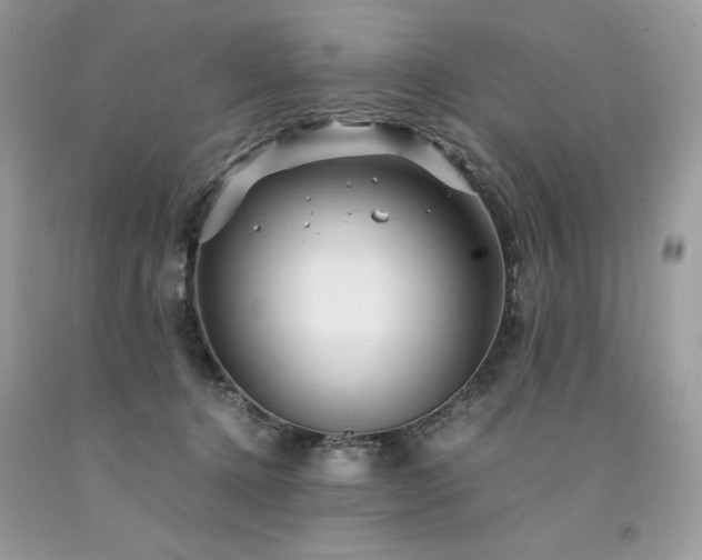 X0000094180368200710261136
