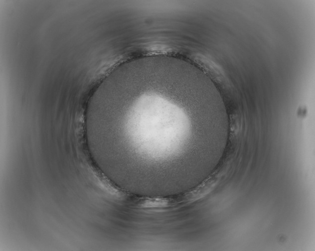 X0000094180369200710261136