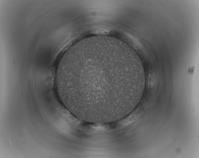 X0000094180370200710261136