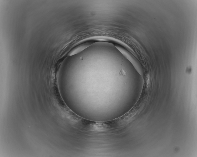 X0000094180372200710261137
