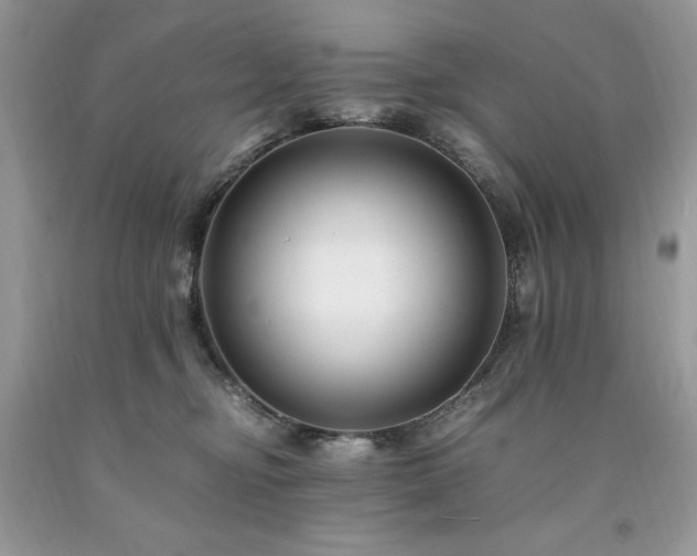 X0000094180374200710261137