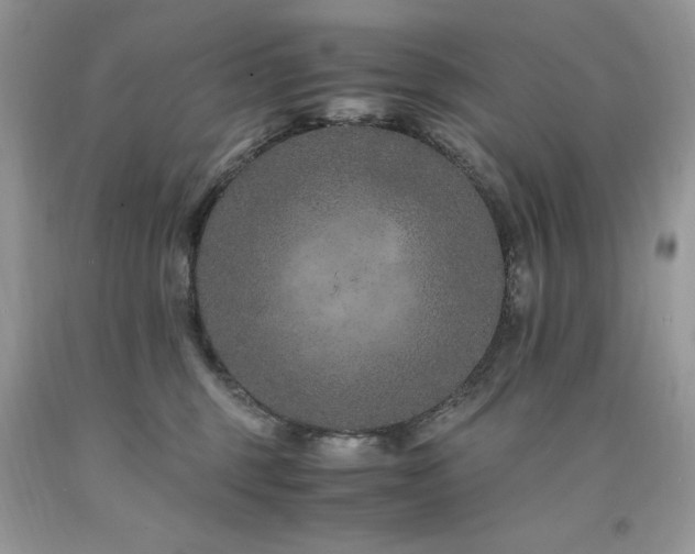 X0000094180375200710261137
