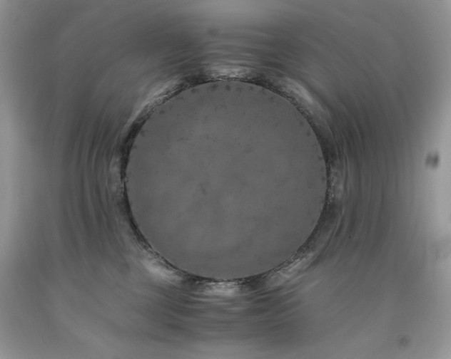 X0000094180377200710261137