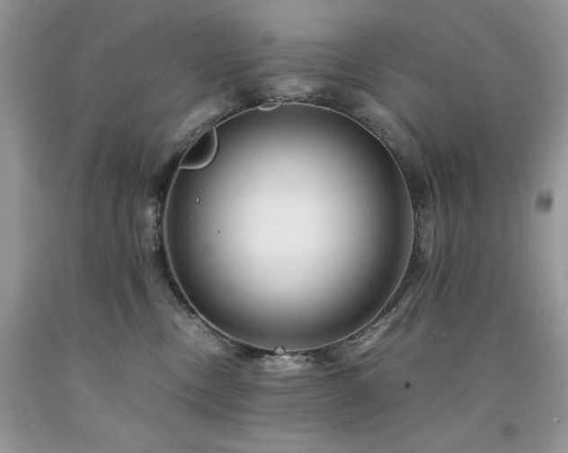 X0000094180378200710261137