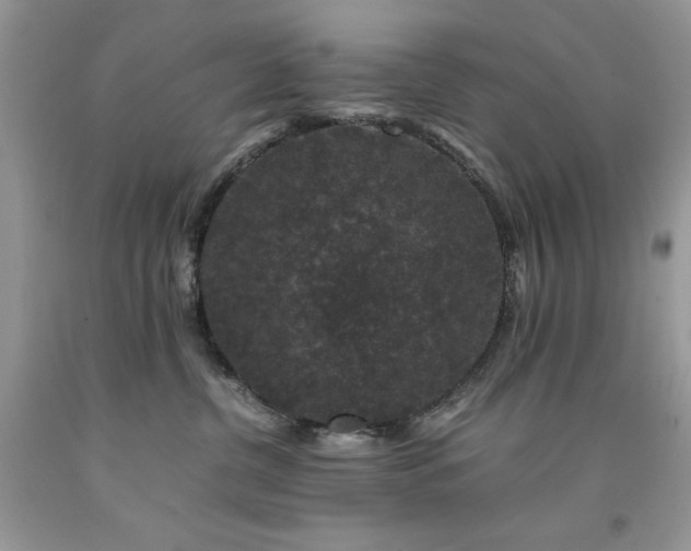X0000094180380200710261137