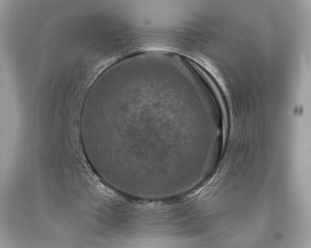 X0000094180385200710261136