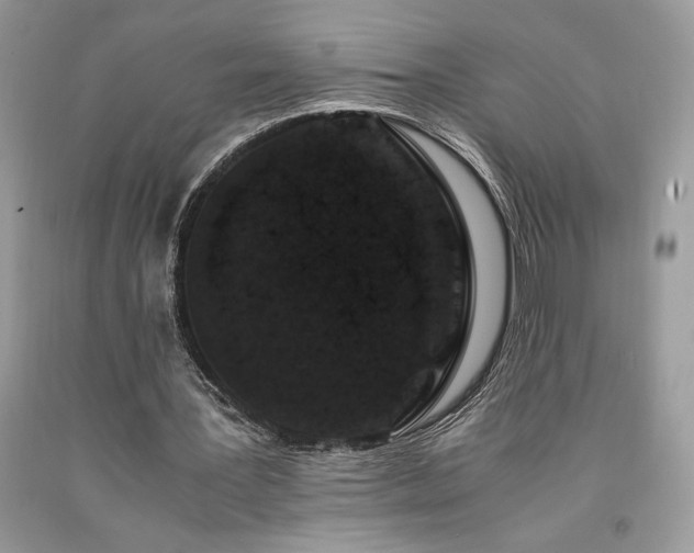 X0000094180387200710261136