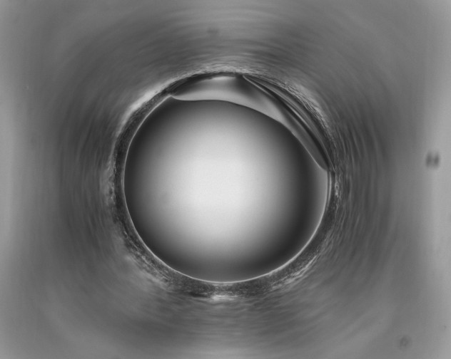 X0000094180388200710261136