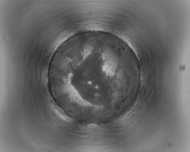X0000094180390200710261136