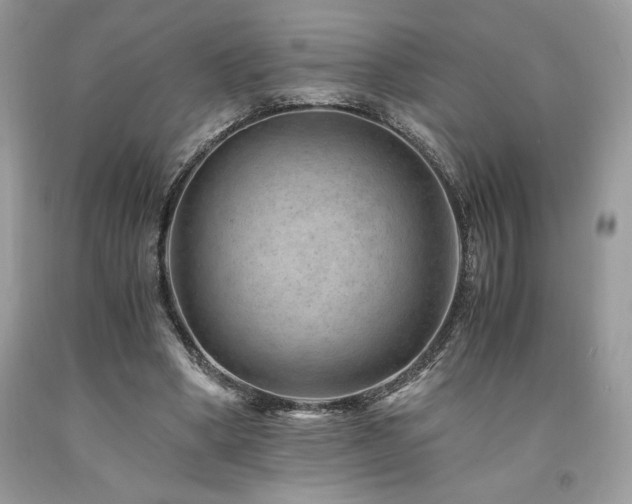 X0000094180394200710261136