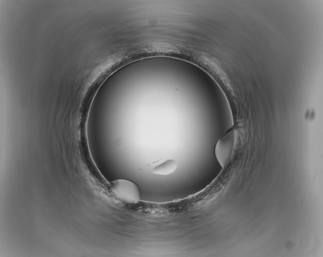 X0000094180395200710261136