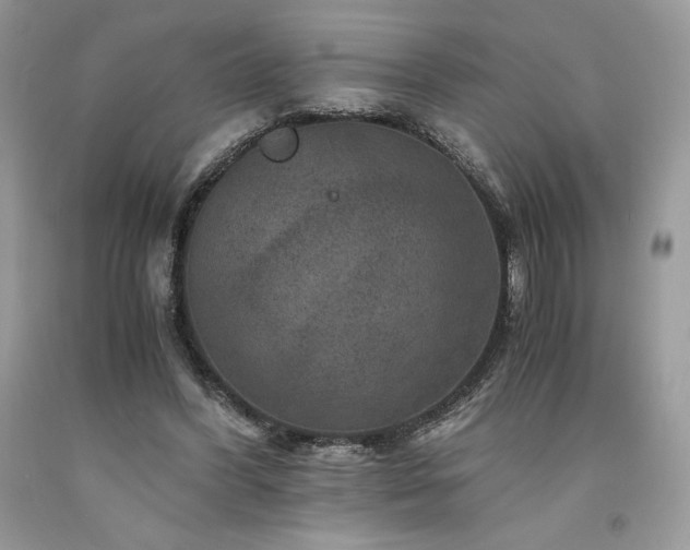 X0000094180396200710261136