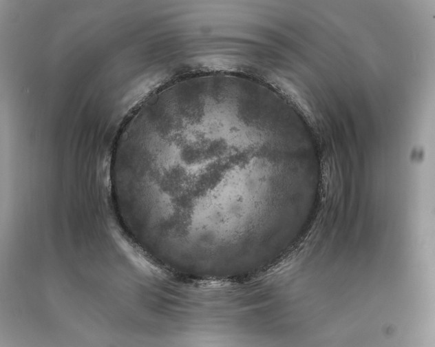 X0000094180398200710261136