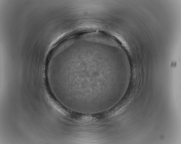X0000094180399200710261136