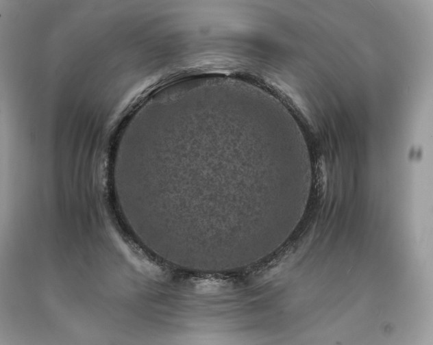X0000094180400200710261136