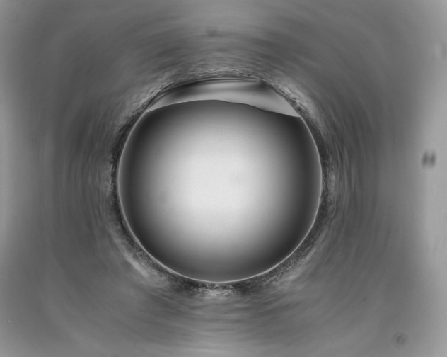 X0000094180401200710261136