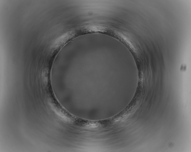 X0000094180402200710261136