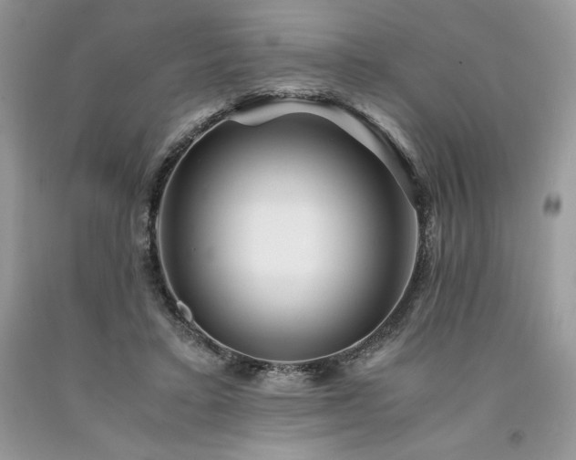 X0000094180403200710261136