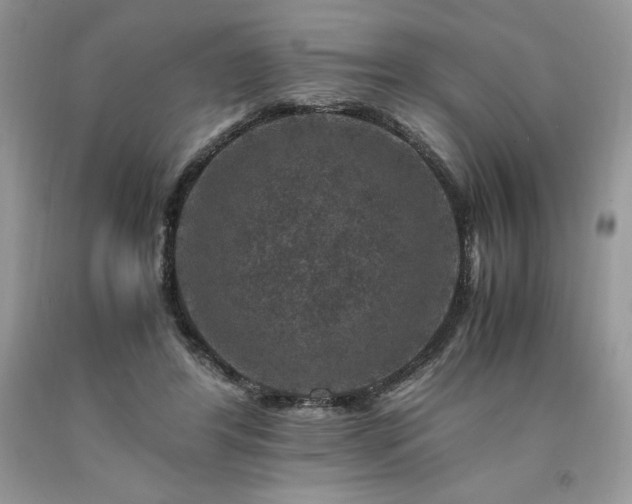 X0000094180404200710261136