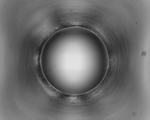 X0000094180406200710261136