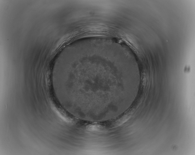 X0000094180408200710261136