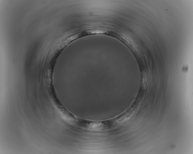 X0000094180410200710261136
