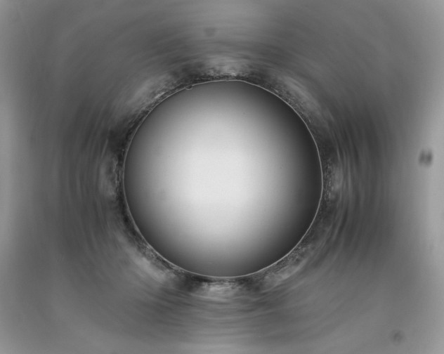 X0000094180414200710261136