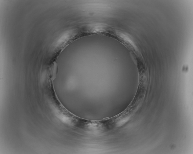 X0000094180415200710261136