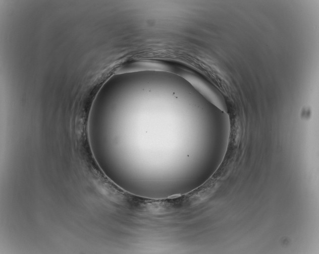 X0000094180417200710261136