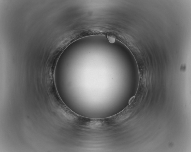 X0000094180418200710261136