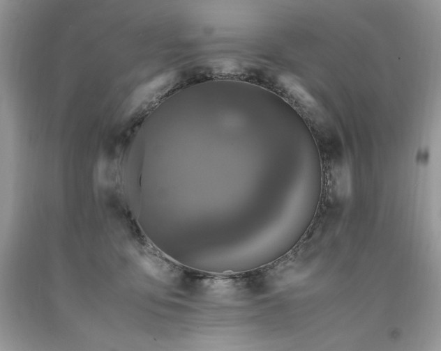 X0000094180419200710261136