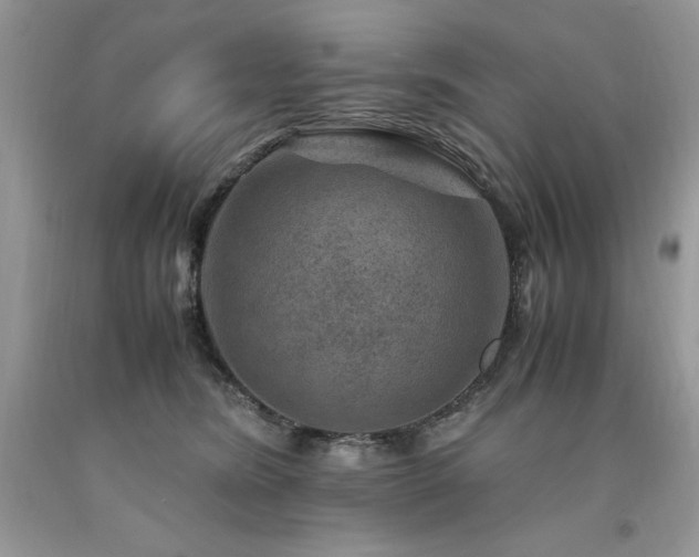 X0000094180420200710261136