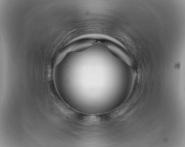 X0000094180421200710261135