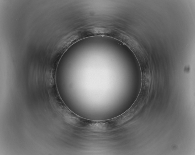 X0000094180422200710261135