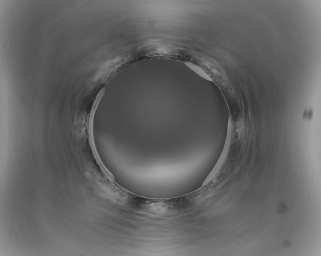 X0000094180423200710261135