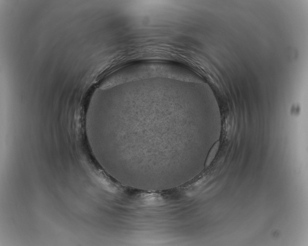 X0000094180424200710261135
