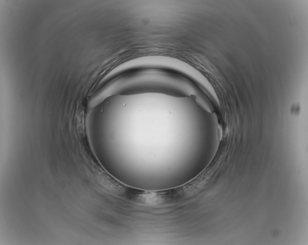 X0000094180425200710261135