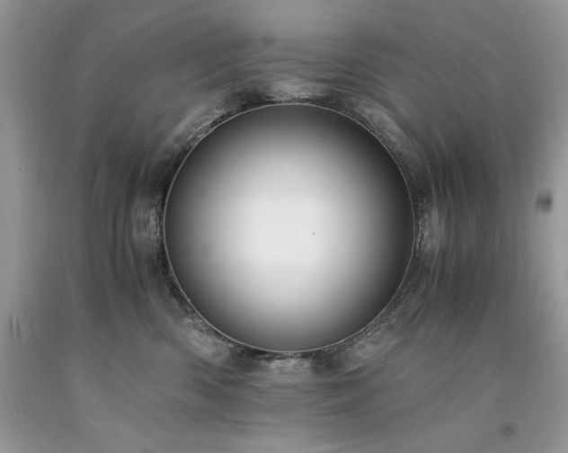 X0000094180426200710261135