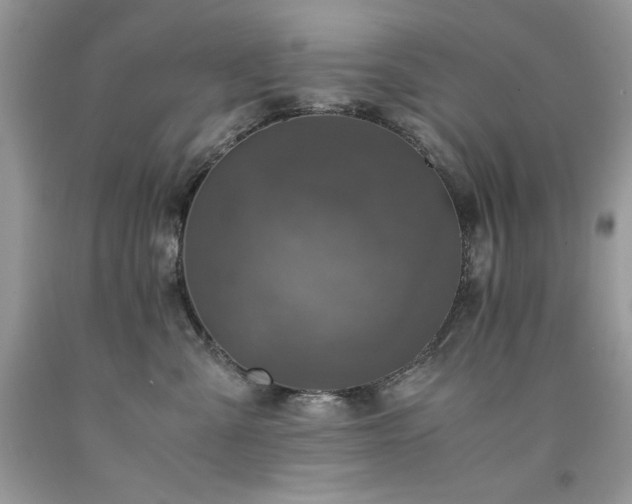 X0000094180427200710261135