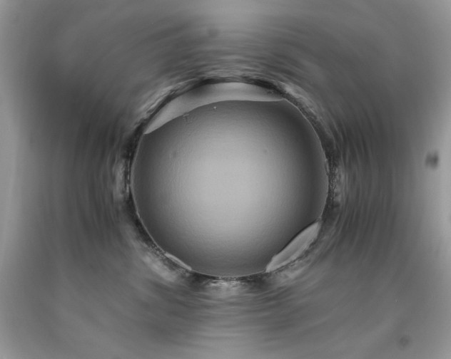 X0000094180428200710261135