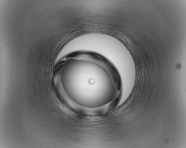 X0000094180429200710261135