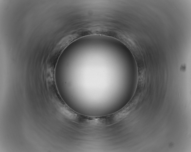 X0000094180430200710261135