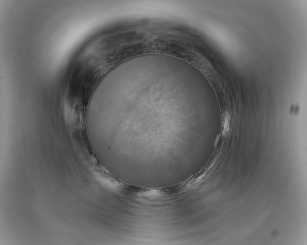 X0000094180431200710261135