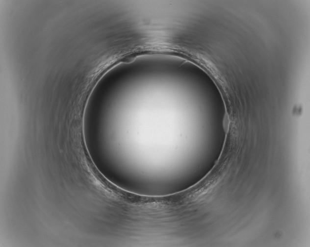 X0000094180433200710261135