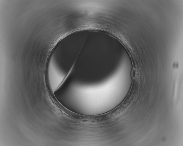 X0000094180434200710261135