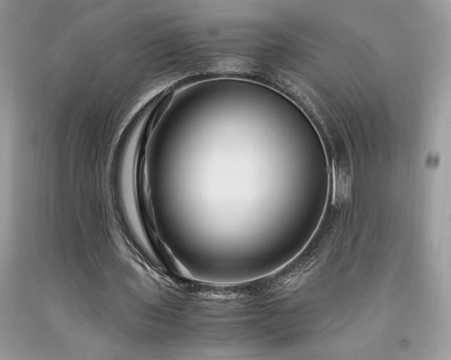 X0000094180435200710261135