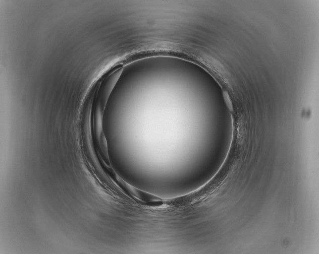 X0000094180436200710261135