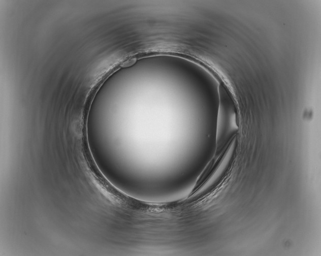 X0000094180437200710261135