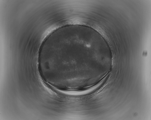 X0000094180438200710261135
