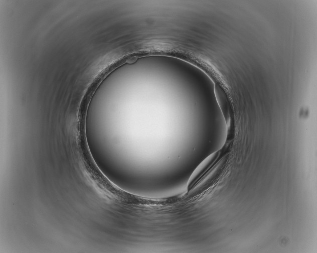 X0000094180439200710261135